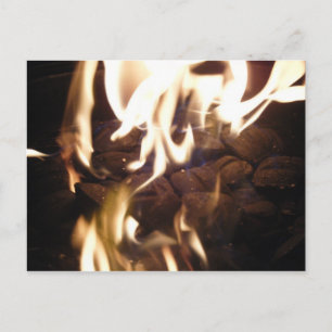 Nouvelles années d'Eve_December 31 (101) cartes