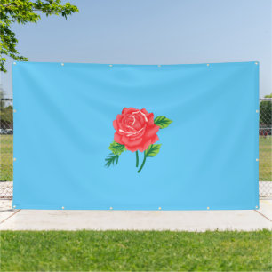 Nouvelles bannières de vinyle