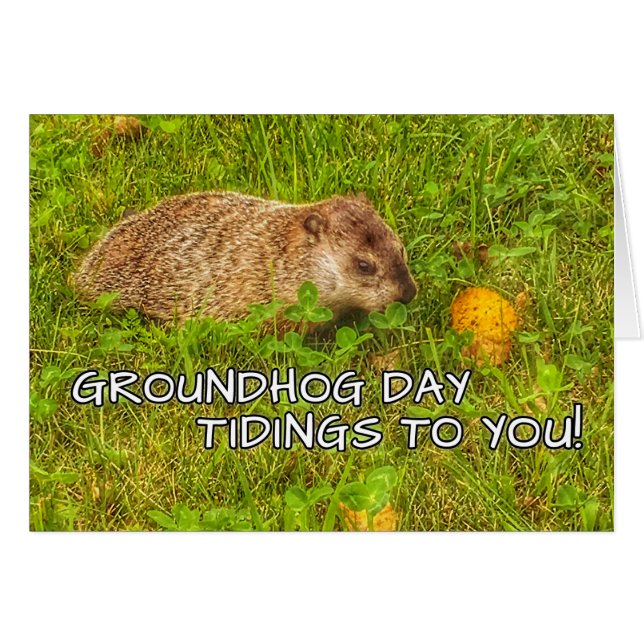 Nouvelles de jour de Groundhog à vous ! cartes de (Devant horizontal)
