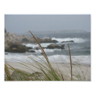 Nova Scotia beach photo Print
