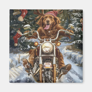 Nova Scotia Dog Riding Motorcycle Christmas Magnet