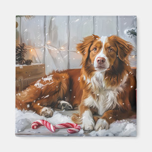 Nova Scotia Duck Toller Dog Christmas Festive Magnet