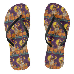 Nova Scotia Duck Toller Halloween Witch Pumpkin Flip Flops