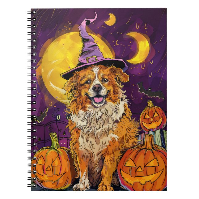 Nova Scotia Duck Toller Halloween Witch Pumpkin Notebook (Front)