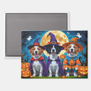 Nova Scotia Duck Toller Pumpkin Halloween Funny Magnet