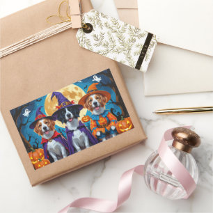 Nova Scotia Duck Toller Pumpkin Halloween Funny Sticker