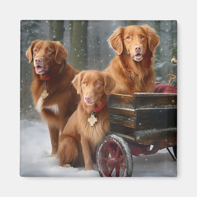 Nova Scotia Duck Toller Retriever Snowy Sleigh Magnet (Front)