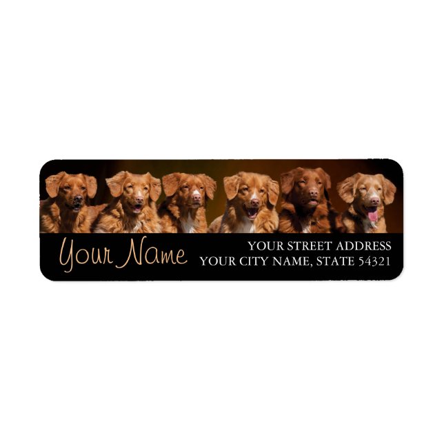 Nova Scotia Duck Tollers Return Address Label (Front)