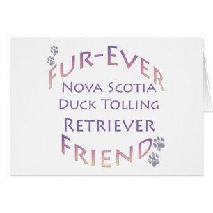 Nova Scotia Duck Tolling Furever