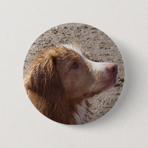 Nova_Scotia_Duck_Tolling_Retriever 2 Inch Round Button