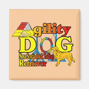 Nova Scotia Duck Tolling Retriever Agility Magnet