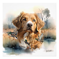 Nova Scotia Duck Tolling Retriever, Art