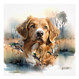 Nova Scotia Duck Tolling Retriever, Art Photo Print