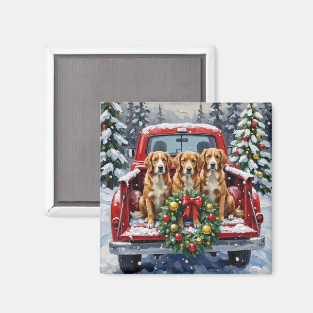 Nova Scotia Duck Tolling Retriever Christmas Red Magnet (Front/Back)