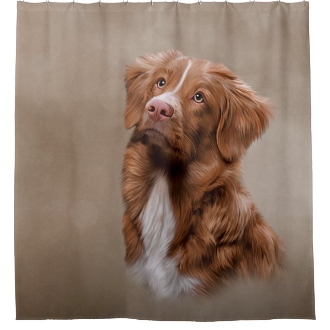 Nova Scotia Duck Tolling Retriever dog (Front)