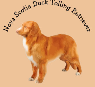 nova_scotia_duck_tolling_retriever_dog_breed_keychain-ra43ac91bf94b438ab87f6bc528f7a16d_x7j3z_8byvr_307.jpg