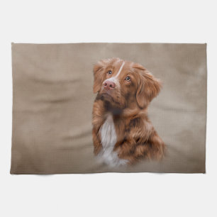 Nova Scotia Duck Tolling Retriever dog Kitchen Towel