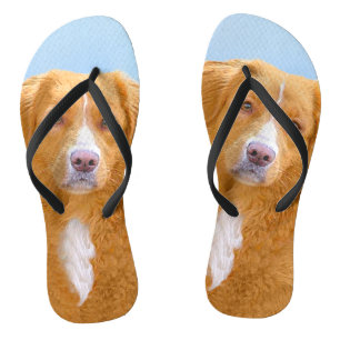 Nova Scotia Duck Tolling Retriever Dog Painting Flip Flops