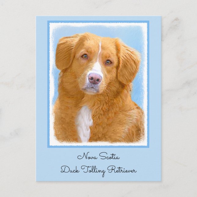 Nova Scotia Duck Tolling Retriever Dog Painting Postcard (Front)