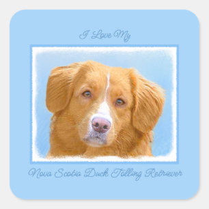 Nova Scotia Duck Tolling Retriever Dog Painting Sq Square Sticker