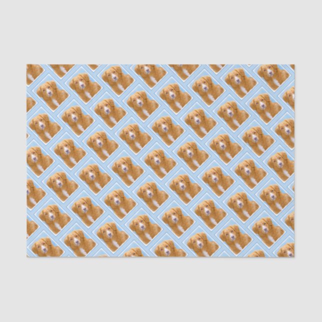 Nova Scotia Duck Tolling Retriever Dog Painting Tissue Paper (Front)