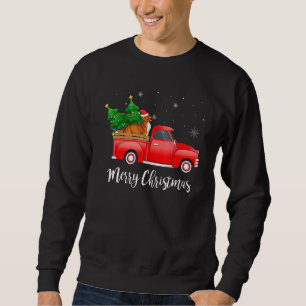 Nova Scotia Duck Tolling Retriever Dog Riding Red Sweatshirt