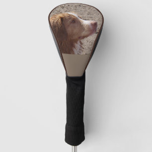 Nova_Scotia_Duck_Tolling_Retriever Golf Head Cover
