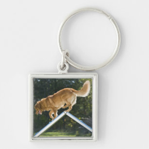 nova scotia duck-tolling retriever keychain