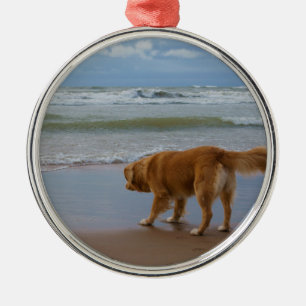 Nova Scotia Duck Tolling Retriever Ocean Cautious Metal Ornament