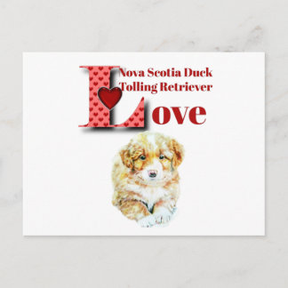 Nova Scotia Duck Tolling Retriever Postcard