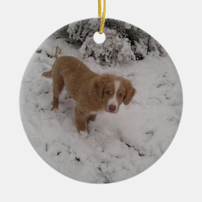 Nova_Scotia_Duck-Tolling_Retriever pup in snow Ceramic Ornament (Front)