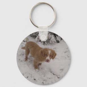 Nova_Scotia_Duck-Tolling_Retriever pup in snow Keychain