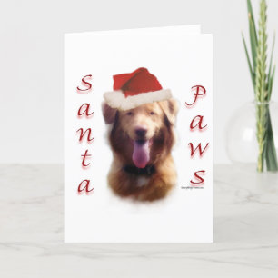 Nova Scotia Duck Tolling Retriever Santa Paws Holiday Card