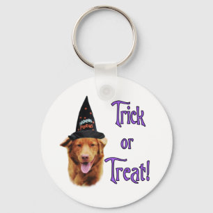 Nova Scotia Duck Tolling Retriever Trick Keychain