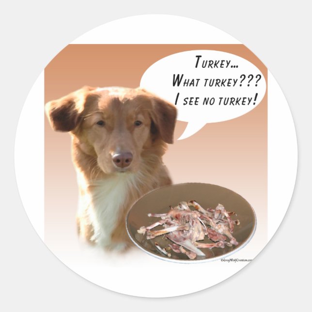 Nova Scotia Duck Tolling Retriever Turkey Classic Round Sticker (Front)