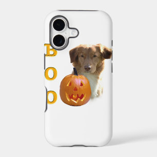 Nova Scotia Halloween BOO