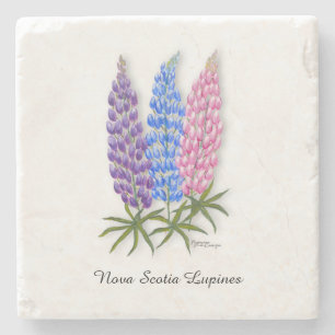 Nova Scotia Lupines Stone Coaster
