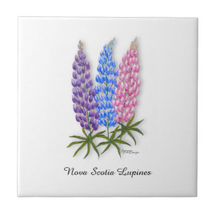 Nova Scotia Lupines Tile