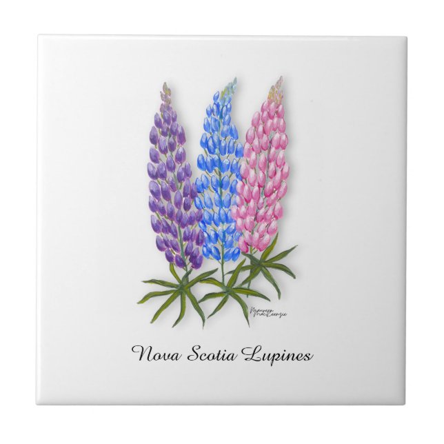Nova Scotia Lupines Tile (Front)