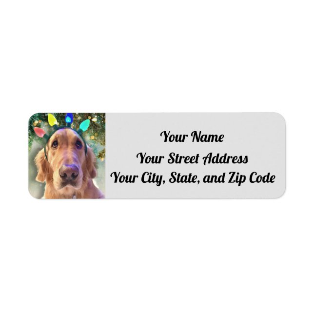 Nova The Golden Retriever Christmas Lights Address (Front)