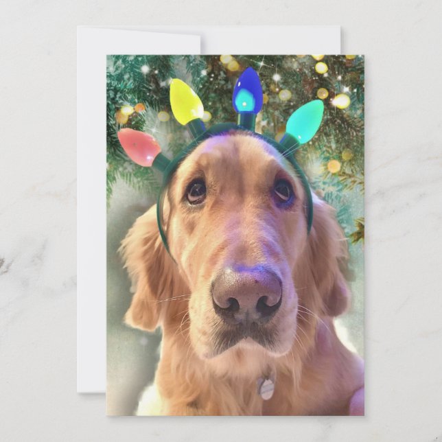 Nova the Golden Retriever Dog Christmas Invitation (Front)