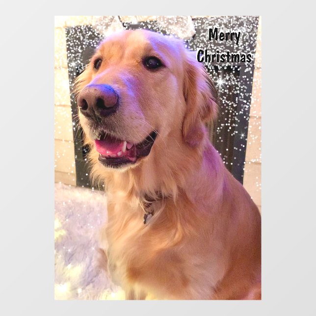 Nova The Golden Retriever Dog Christmas Snow  Window Cling (Sheet)