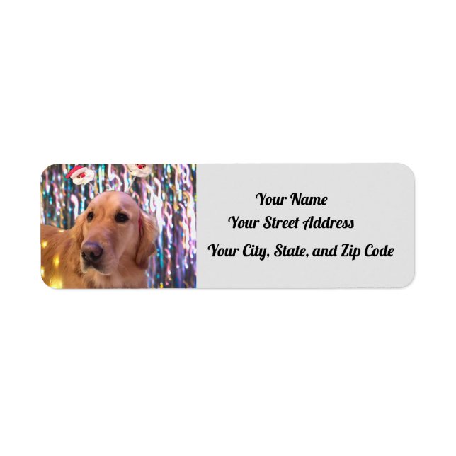 Nova The Golden Retriever - Santa Paws - Address (Front)