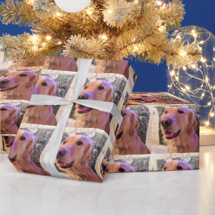Nova the Golden Retriever - Wrapping Paper Roll
