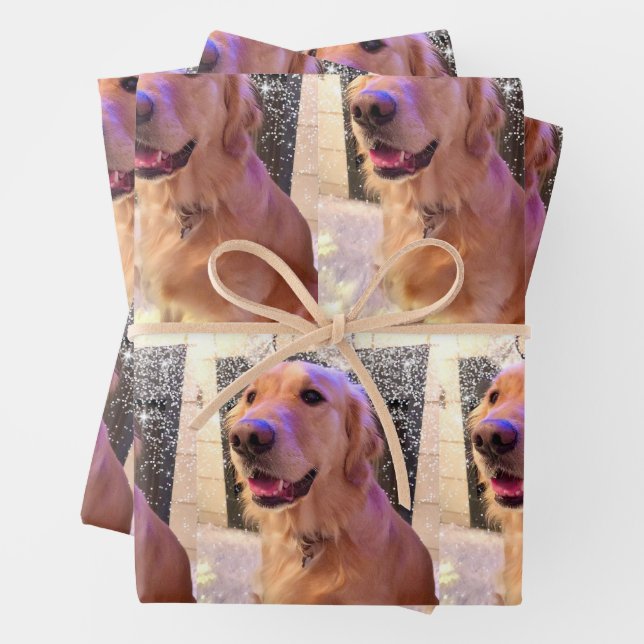Nova the Golden Retriever - Wrapping Paper Sheets (In situ)