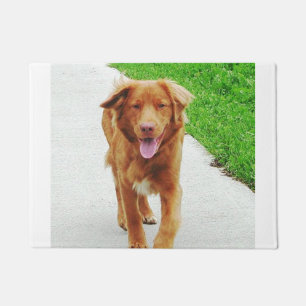 nova walking doormat