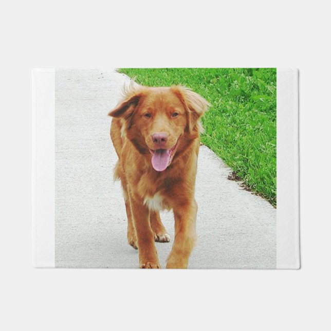 nova walking doormat (Front)