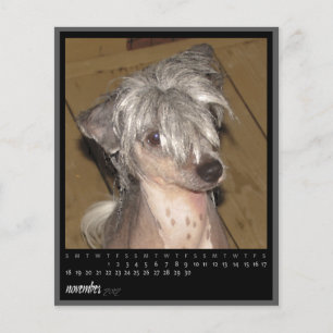 november 2012 calendar
