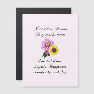 November Birth Month Flower Chrysanthemum