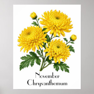 November Chrysanthemum Flowers Poster